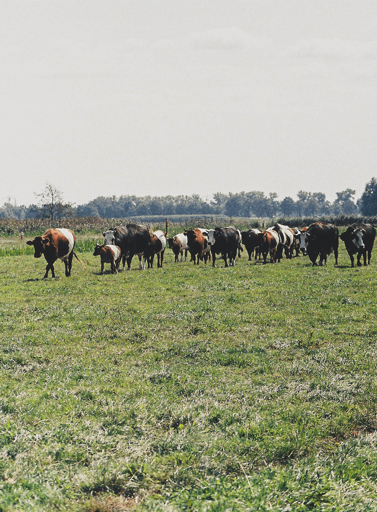 2026-Itika-Dungse-10