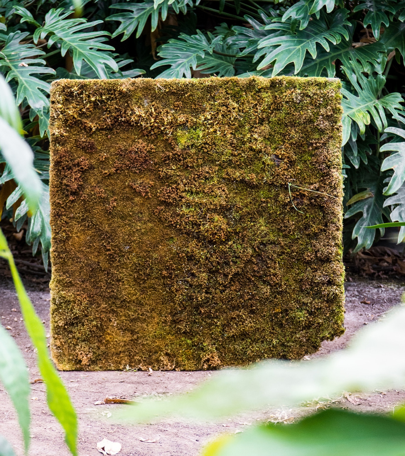 secrid talent podium respyre