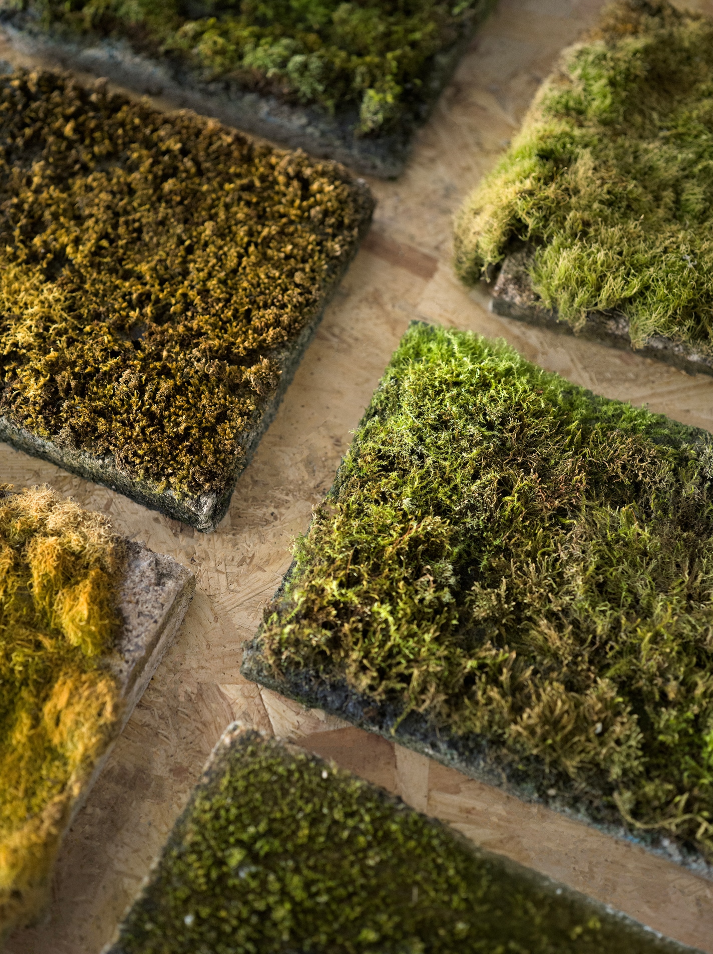 secrid talent podium respyre