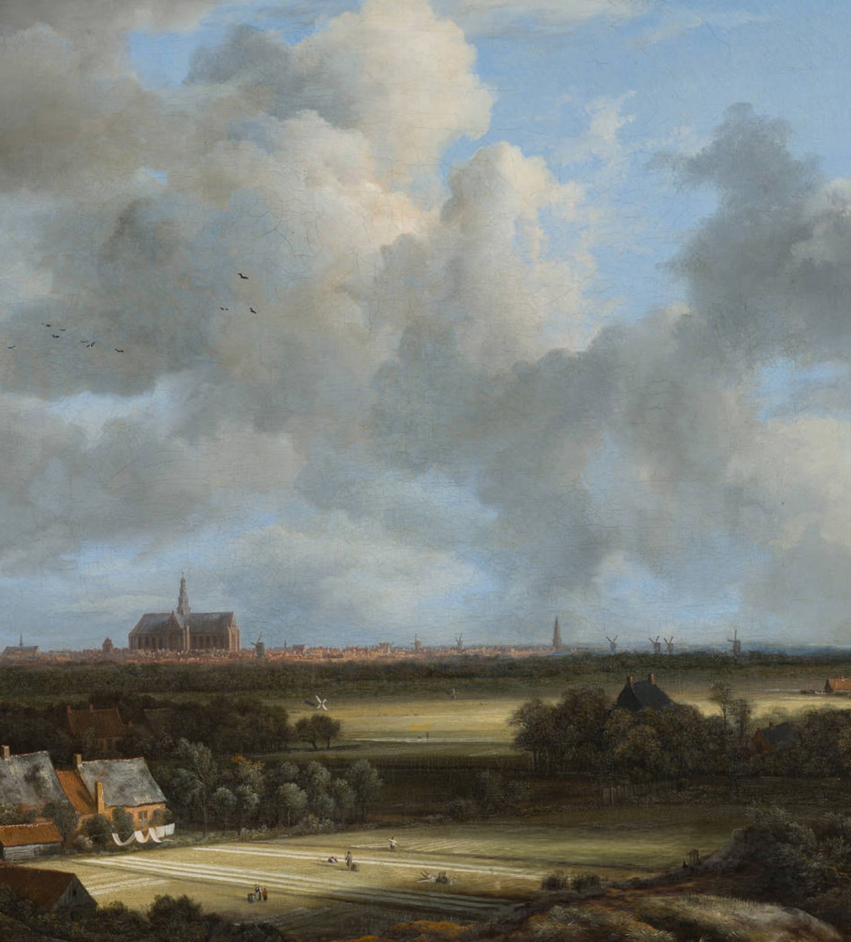 secrid ruisdael collection