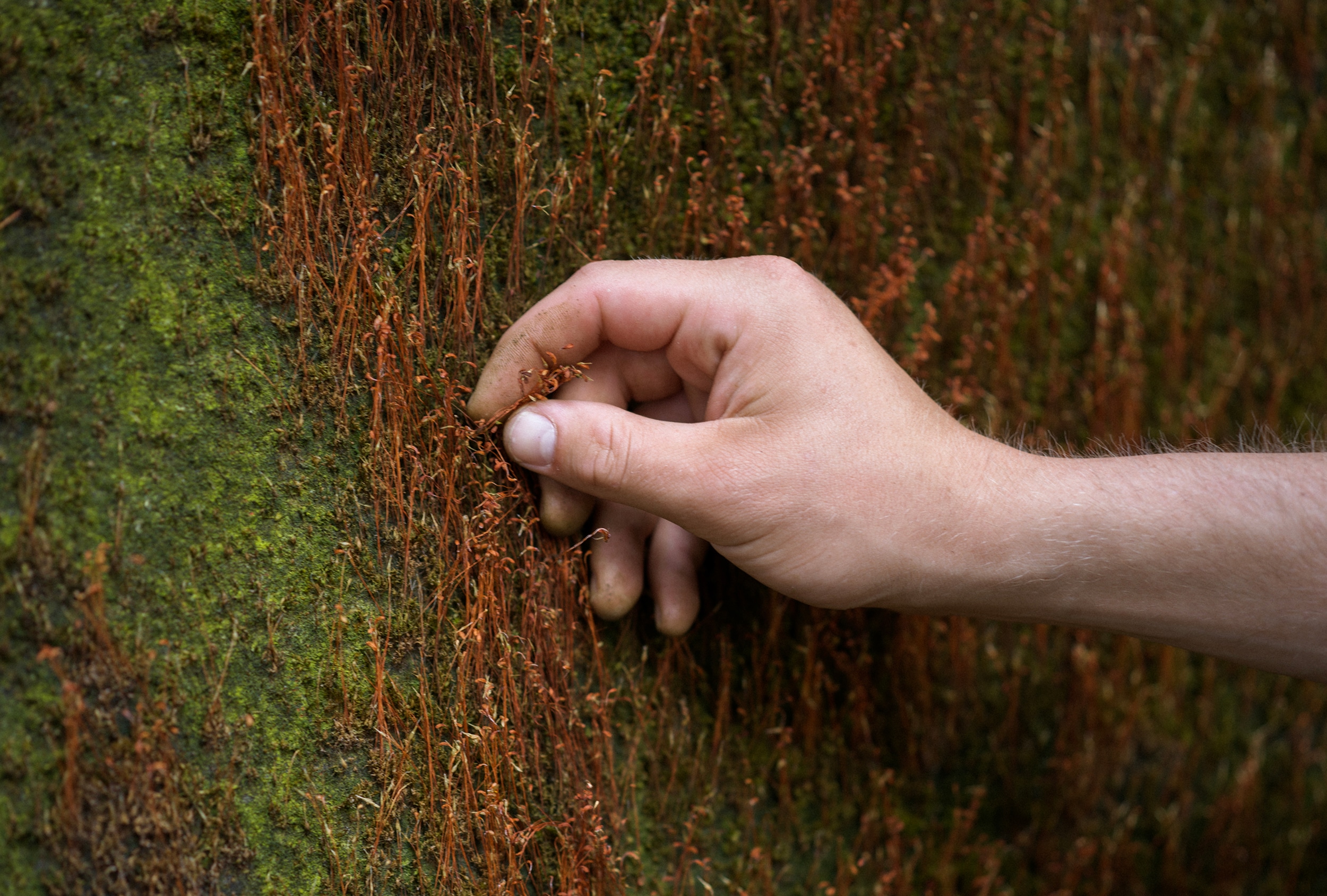 secrid talent podium respyre