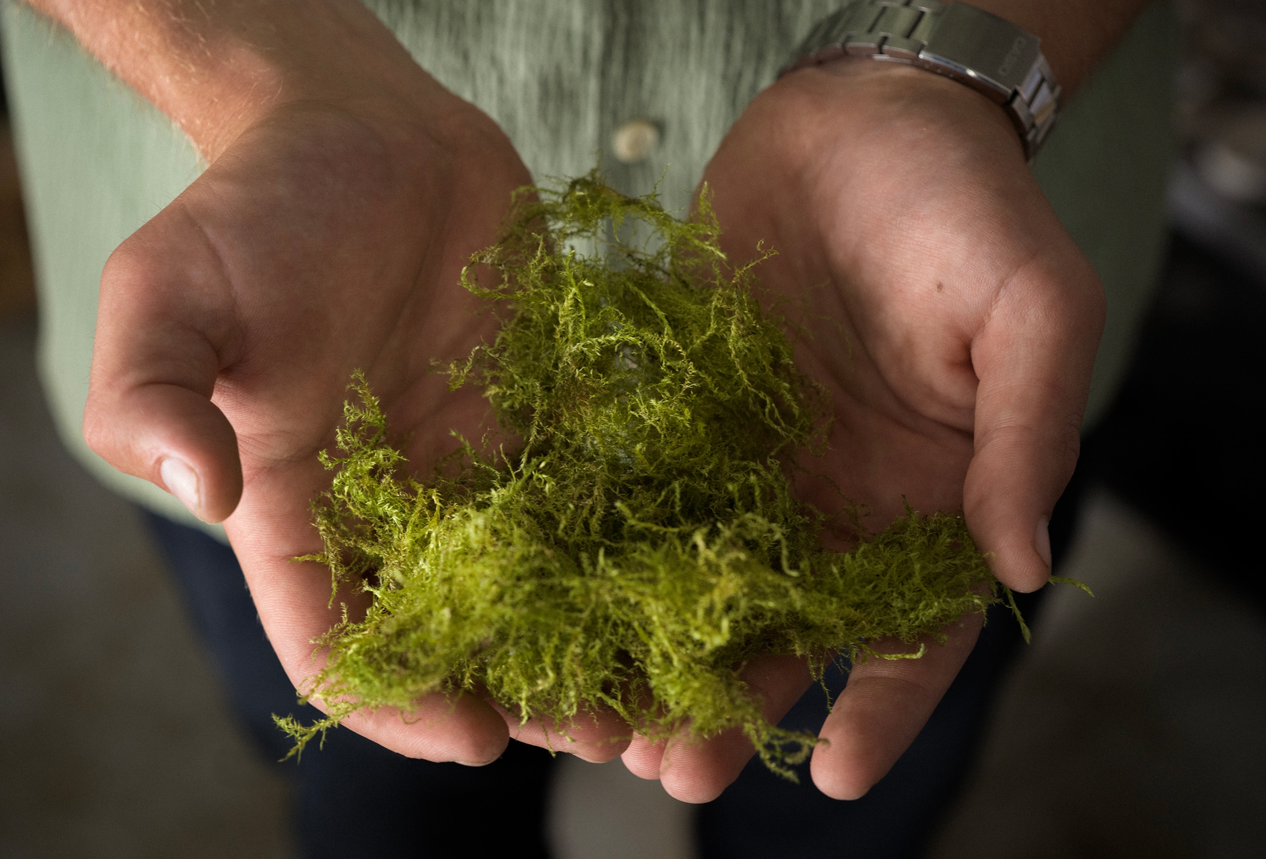 secrid talent podium respyre