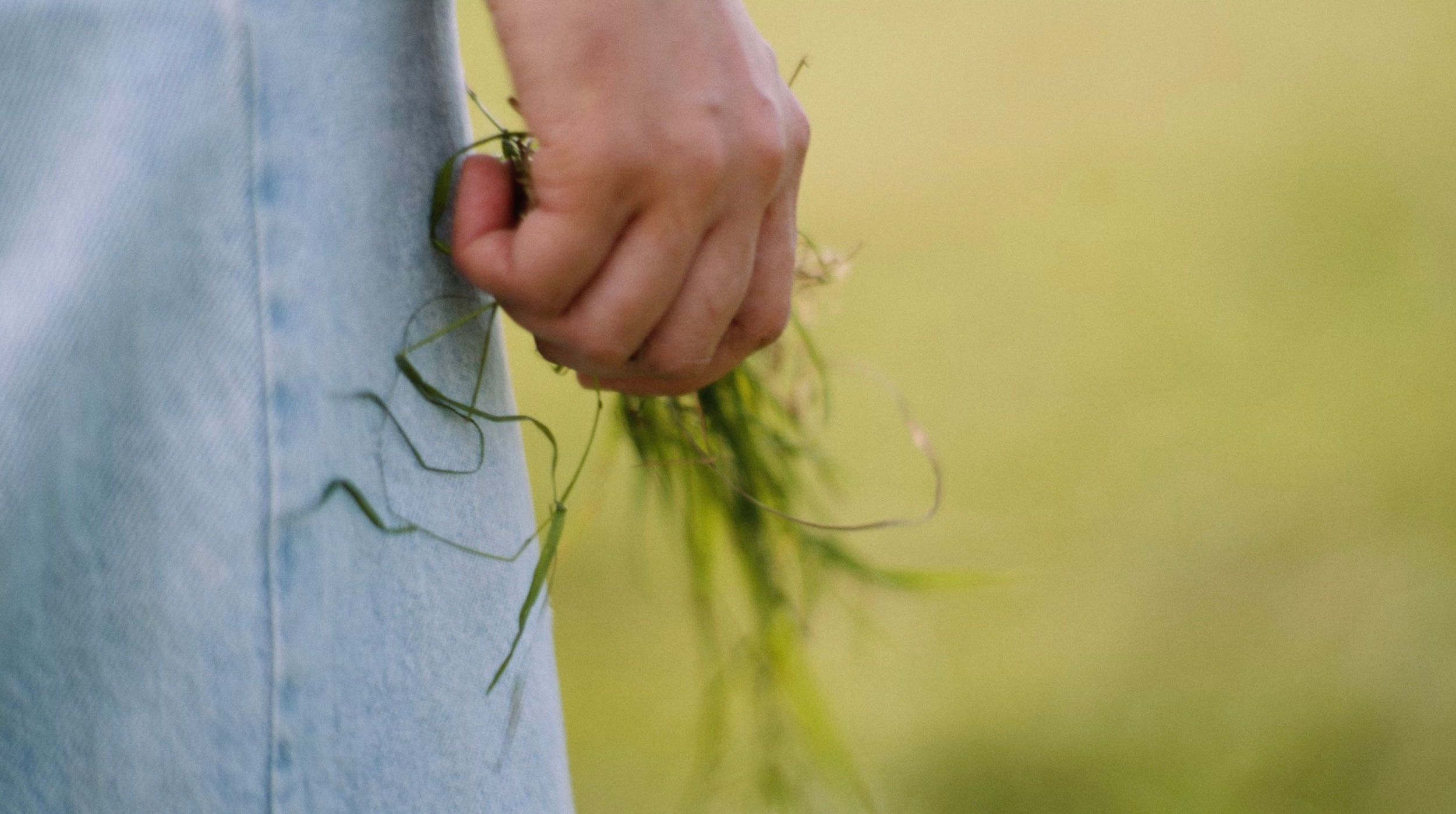 secrid talent podium dungse labs