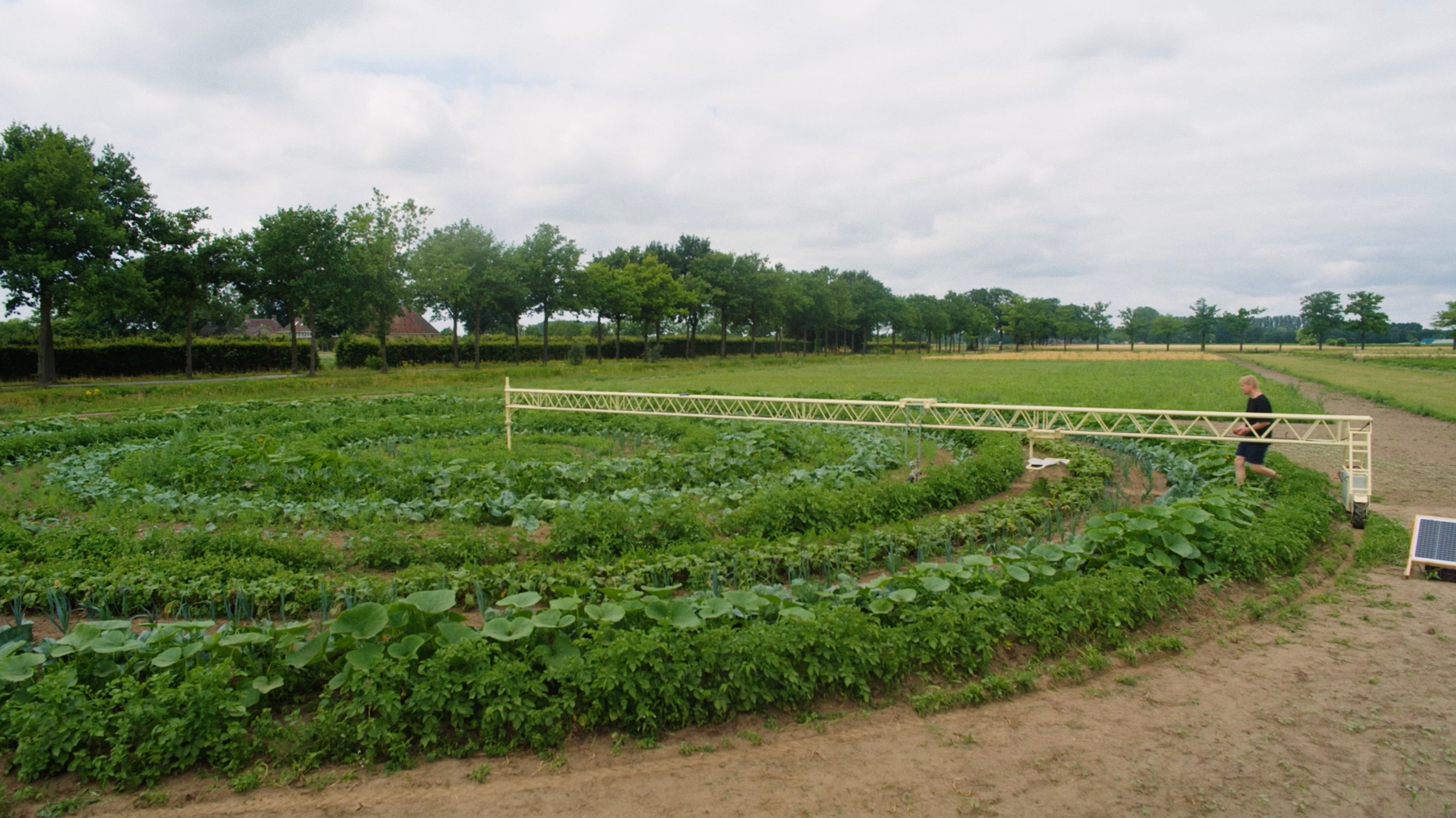 secrid talent podium thumbnails