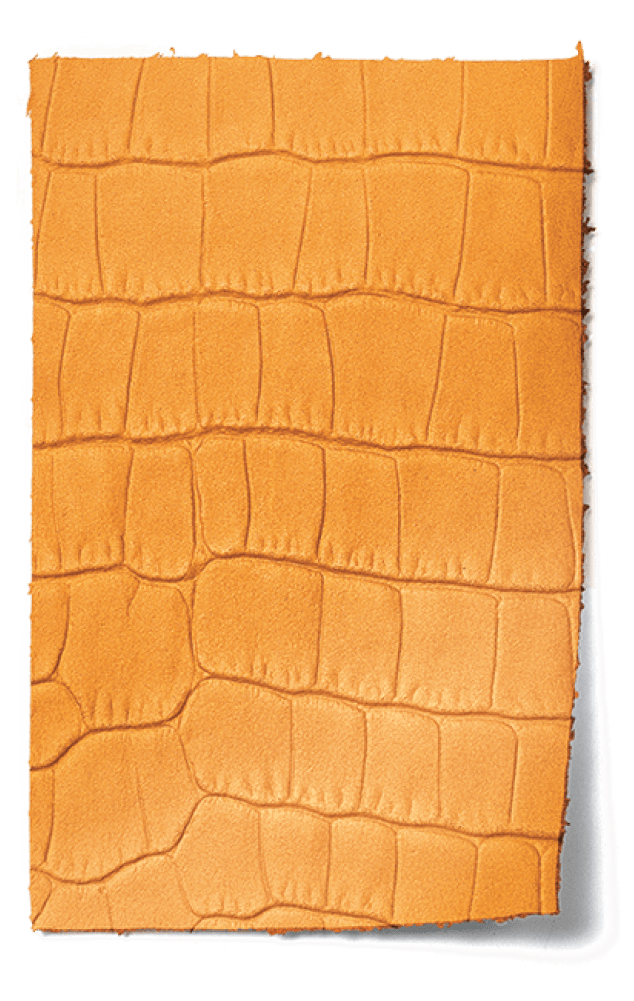 Cleo leather sample