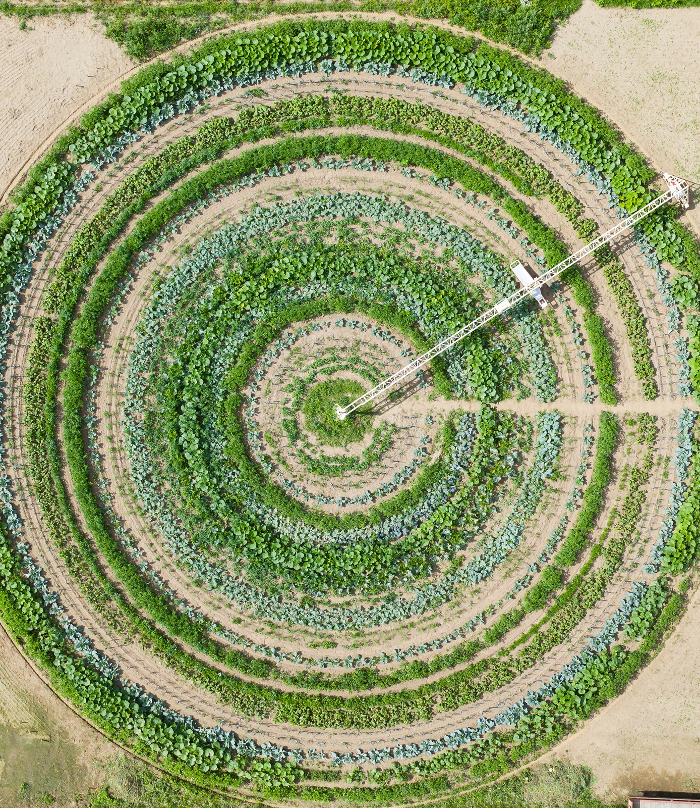 circle farming secrid talent podium