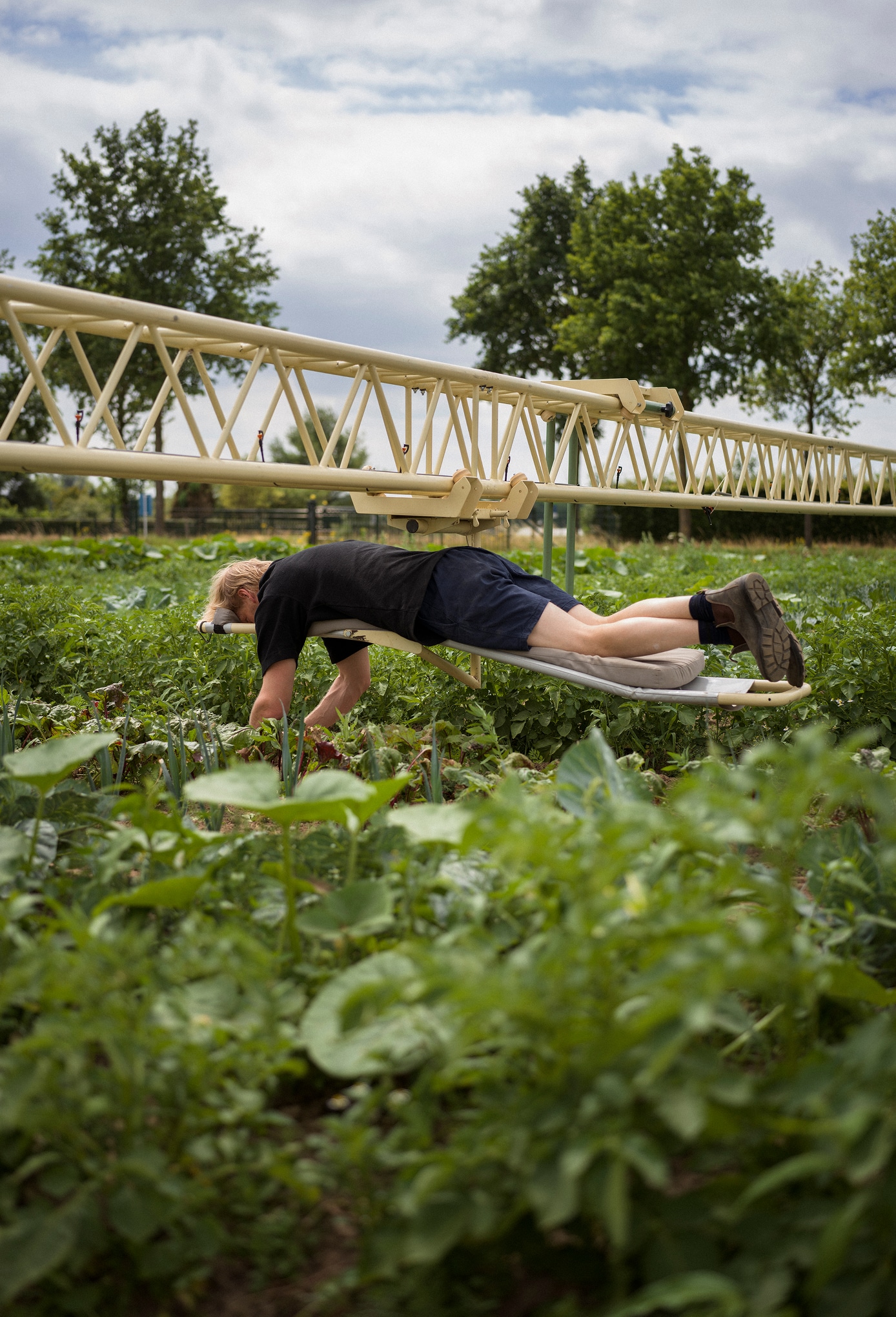 circle farming secrid talent podium