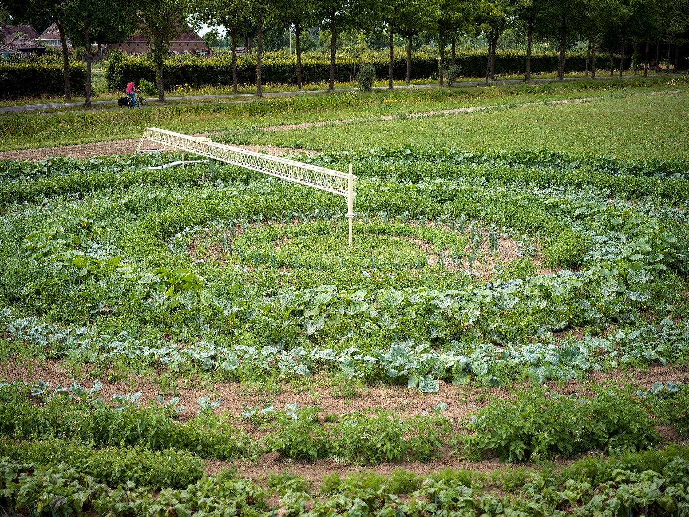 circle farming secrid talent podium