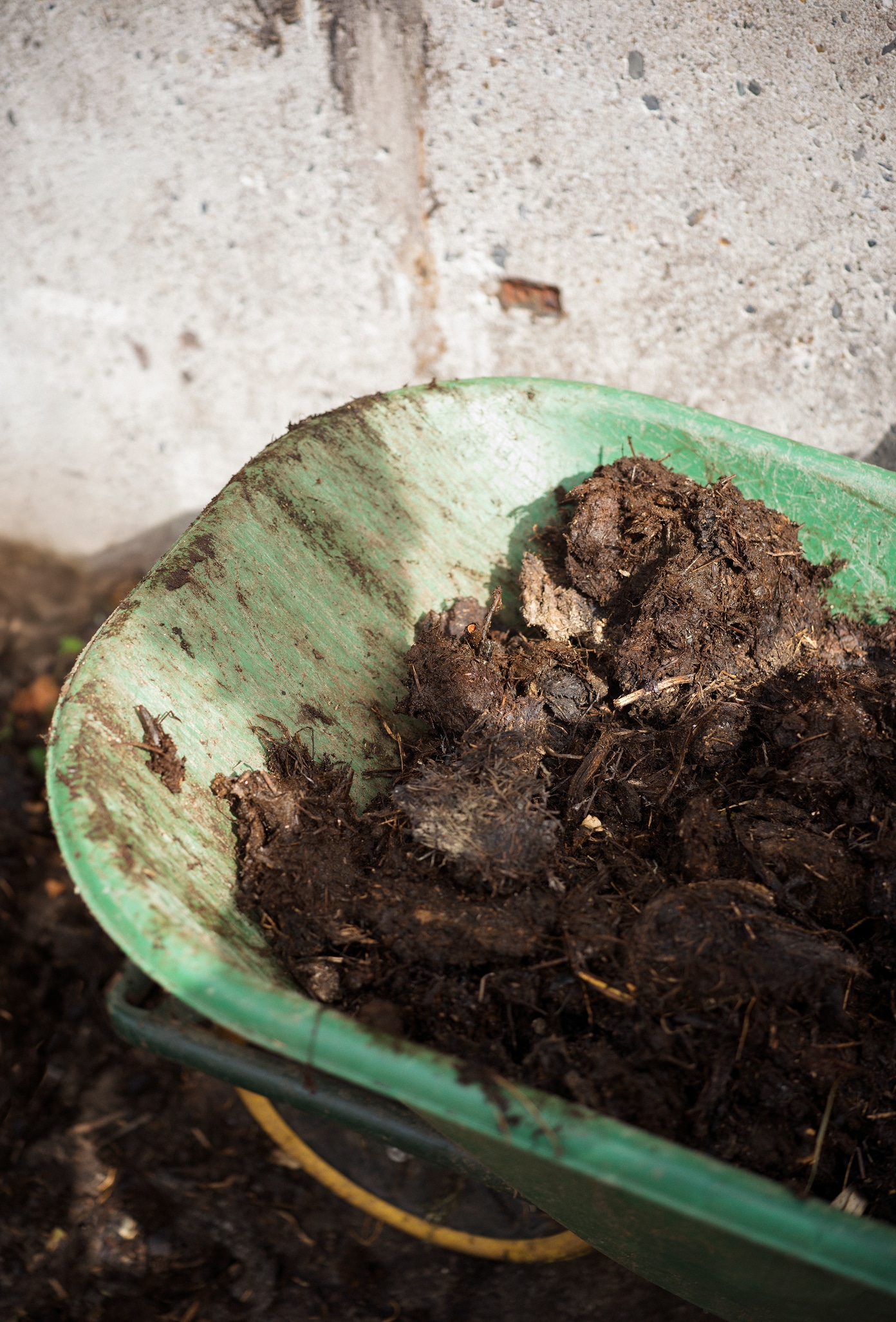 secrid impact fund dungse lab