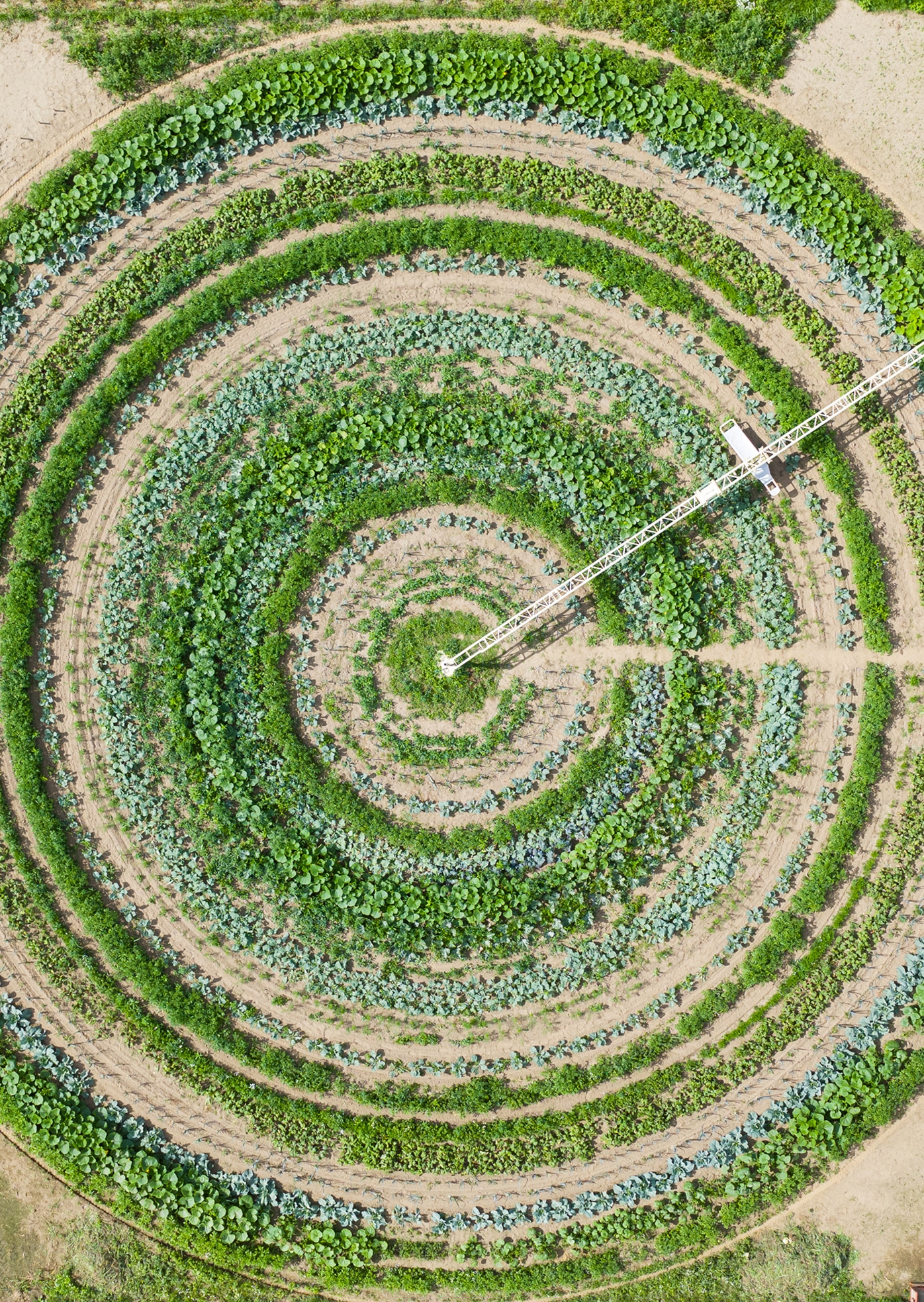 press talent podium 2025