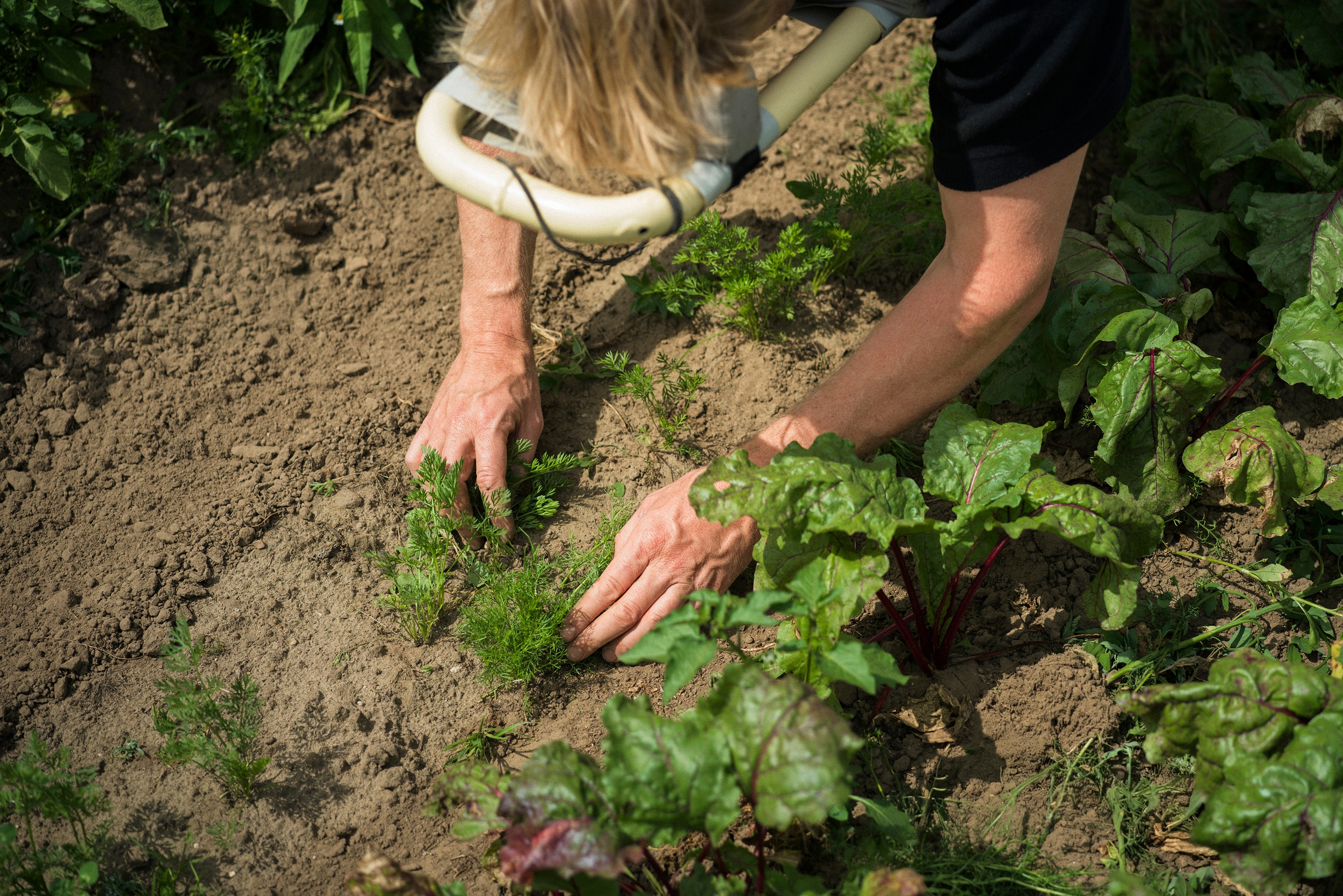 circle farming secrid talent podium