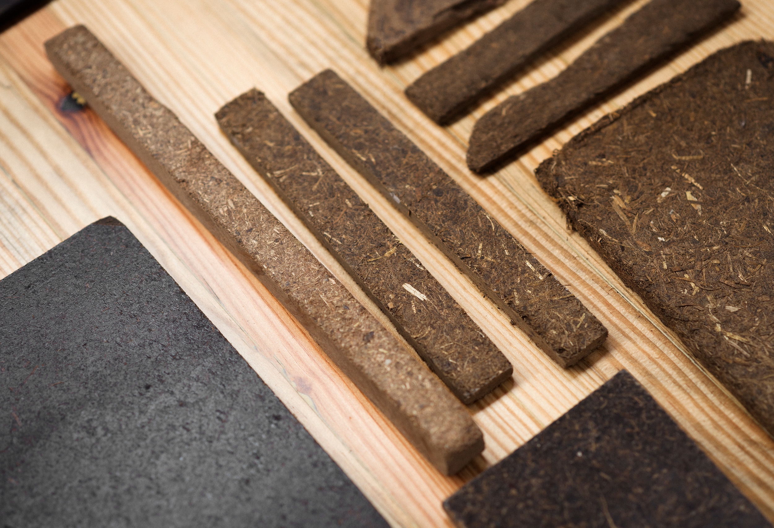 secrid impact fund dungse lab