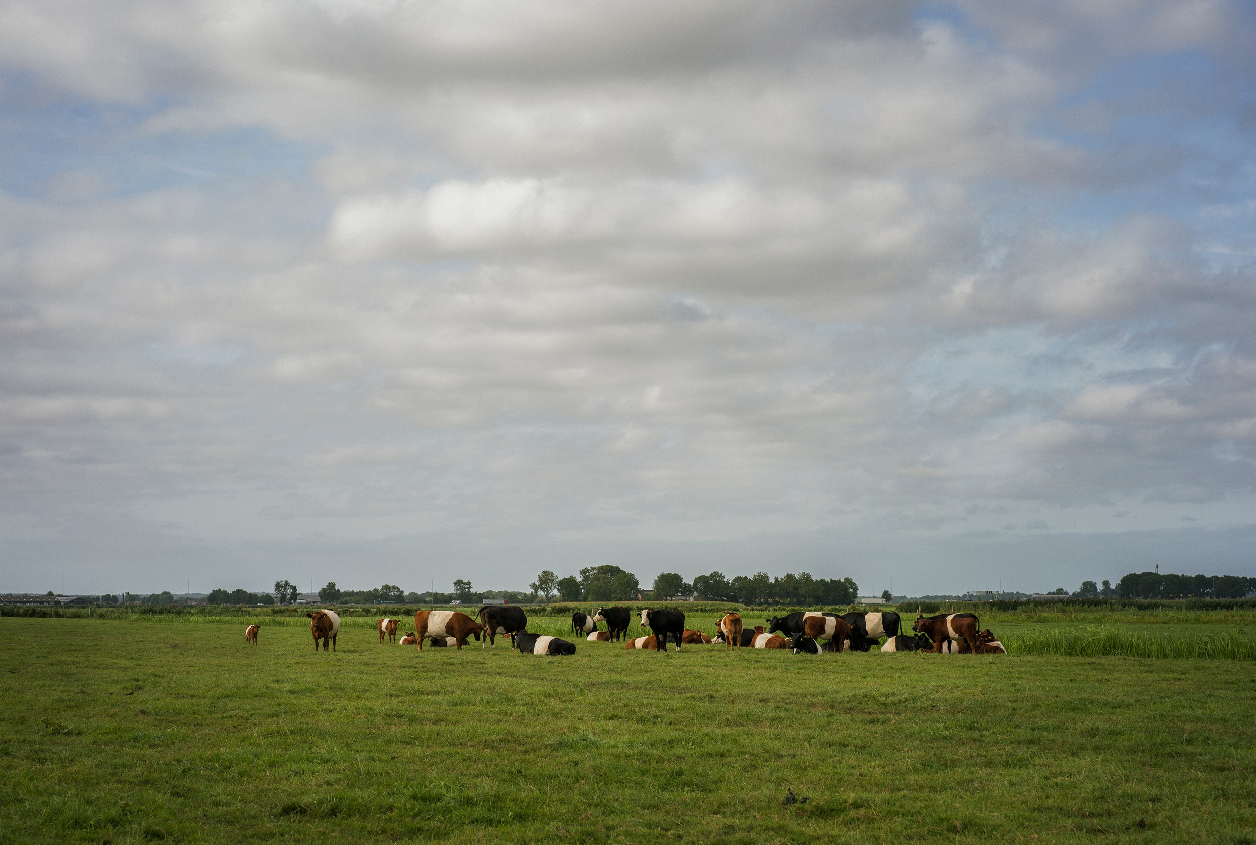 secrid impact fund dungse lab