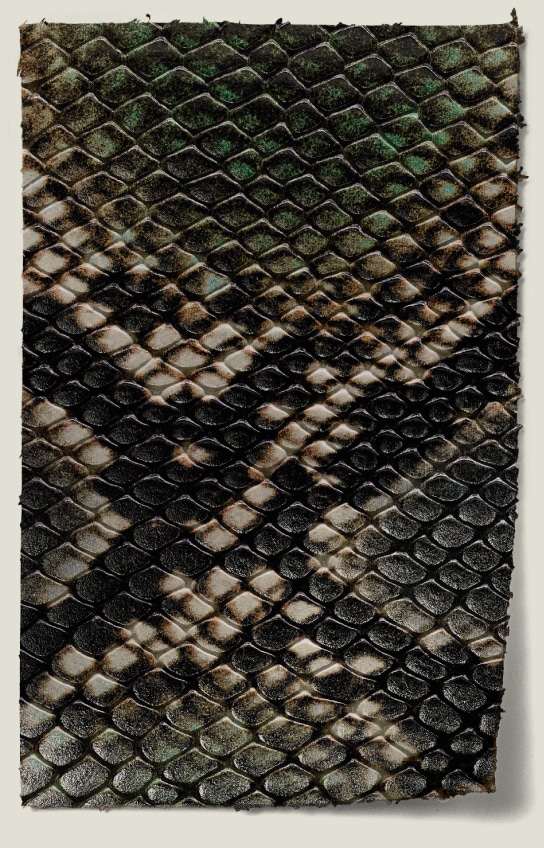 Serpent leather close up